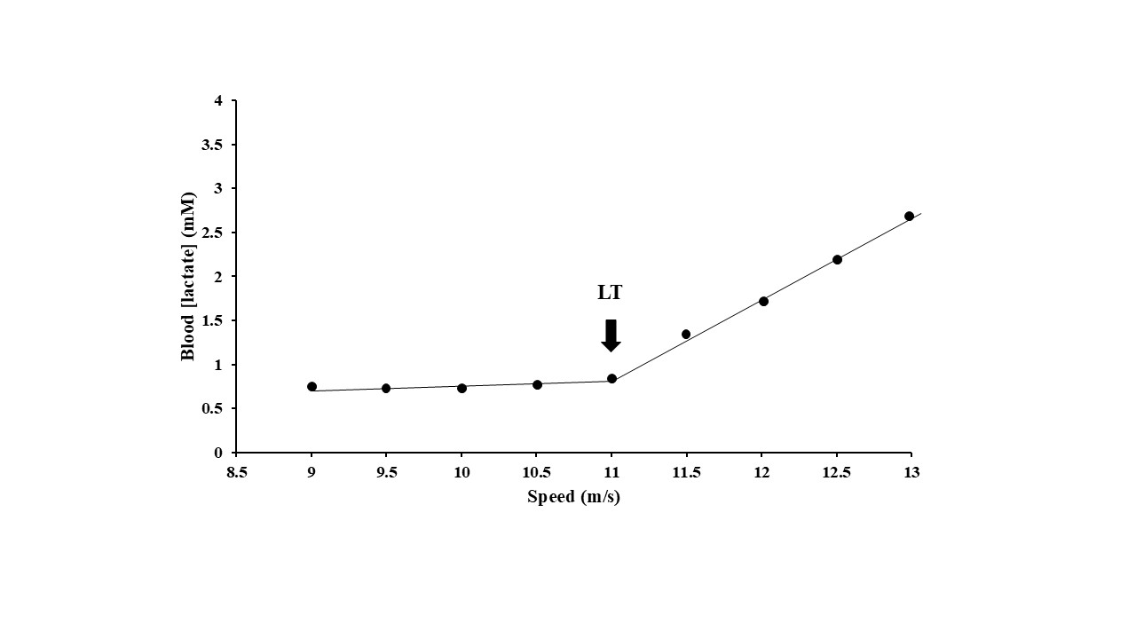 Lactate Threshold